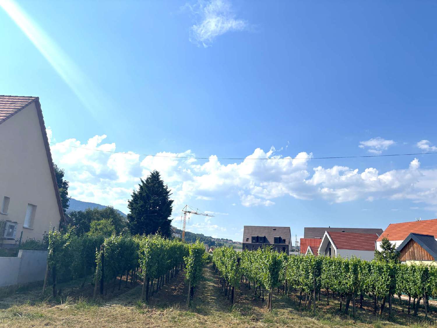  kaufen Grundstück Barr Bas-Rhin 6