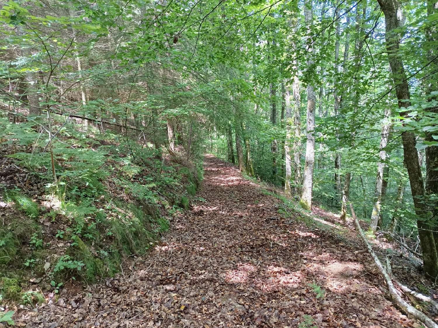  for sale terrain Berlats Tarn 8