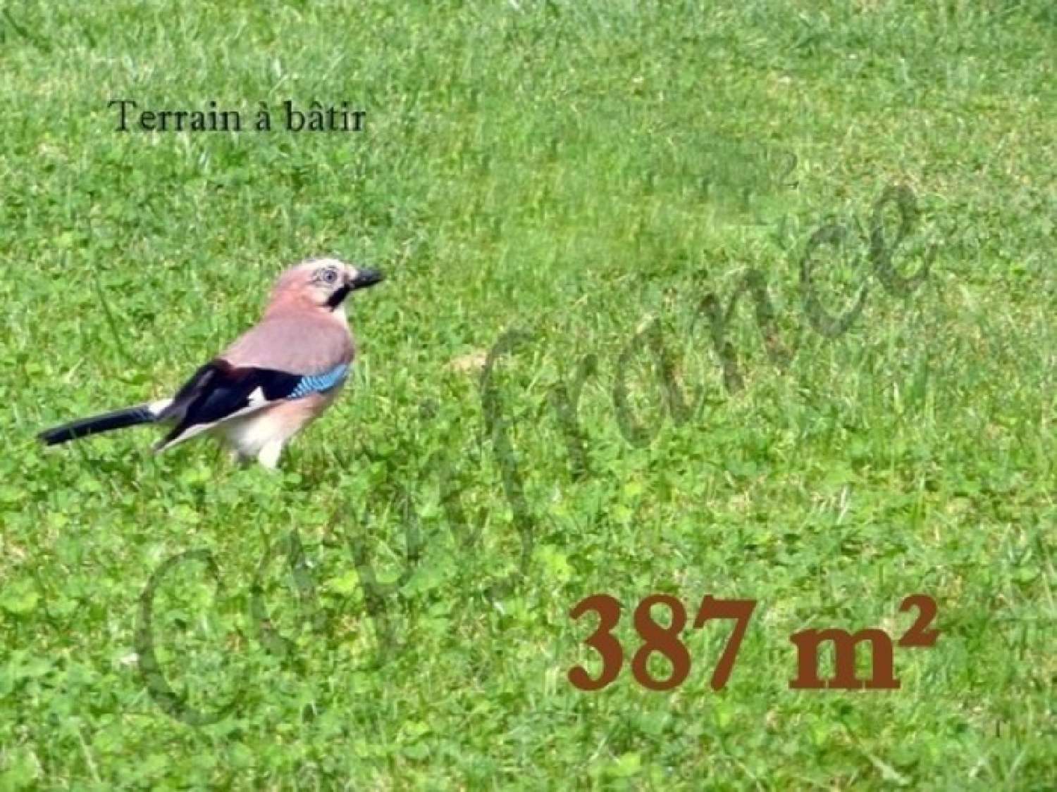  kaufen Grundstück Bétheniville Marne 1