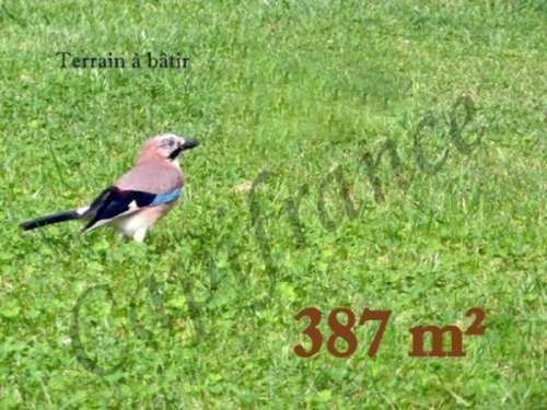 Bétheniville Marne Grundstück Bild 7259229