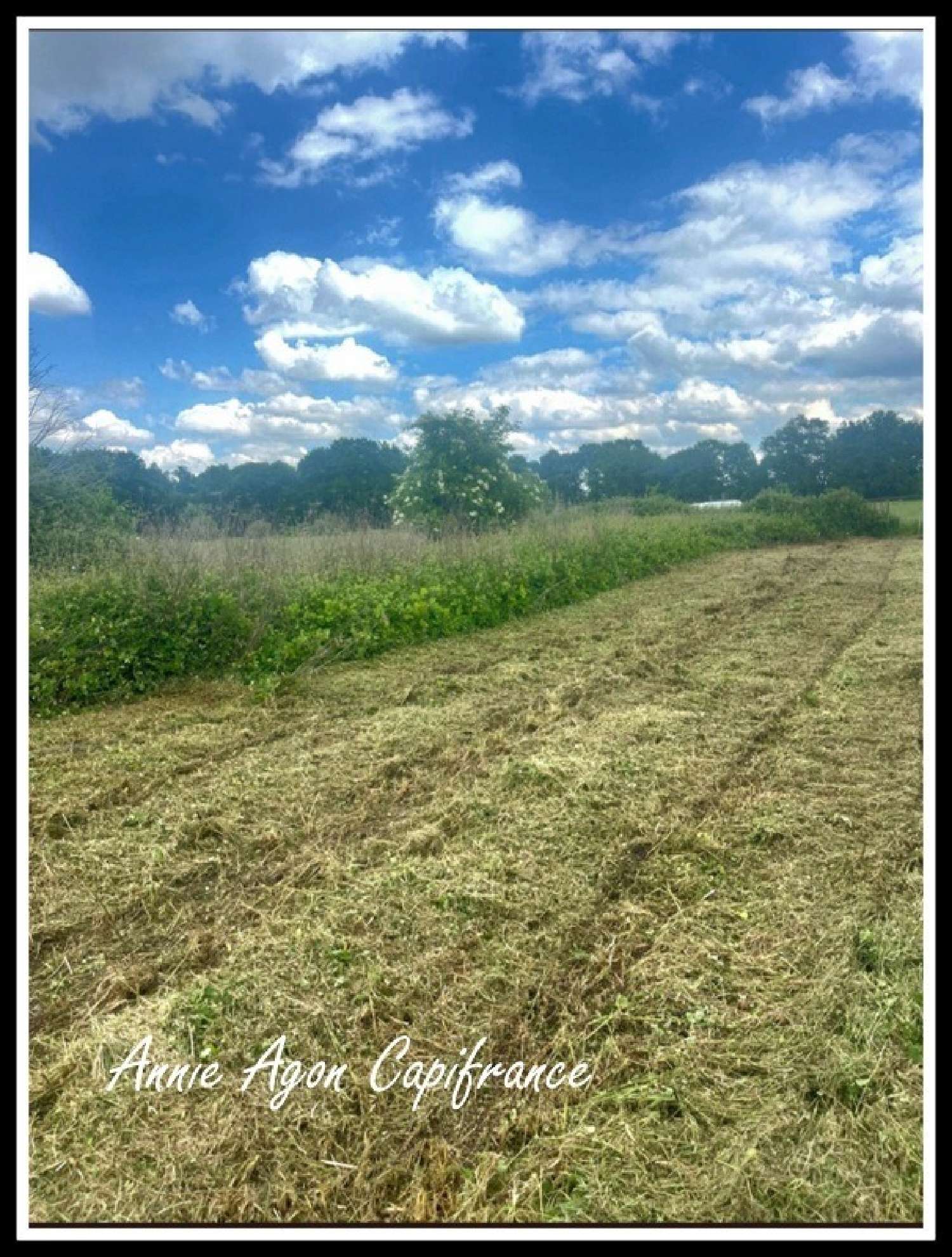  kaufen Grundstück Bordères-sur-l'Échez Hautes-Pyrénées 2
