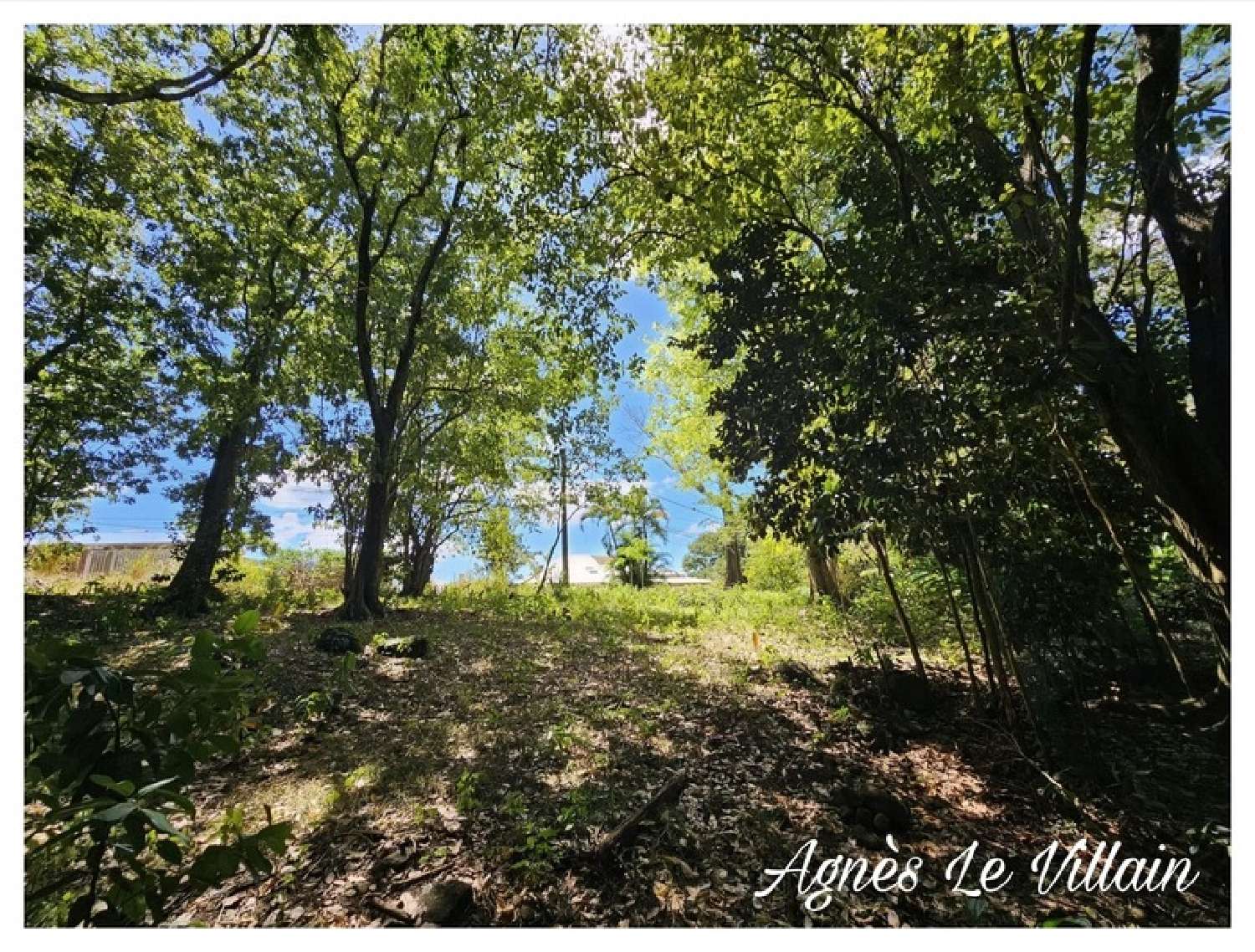  te koop terrein Bouillante Guadeloupe 4