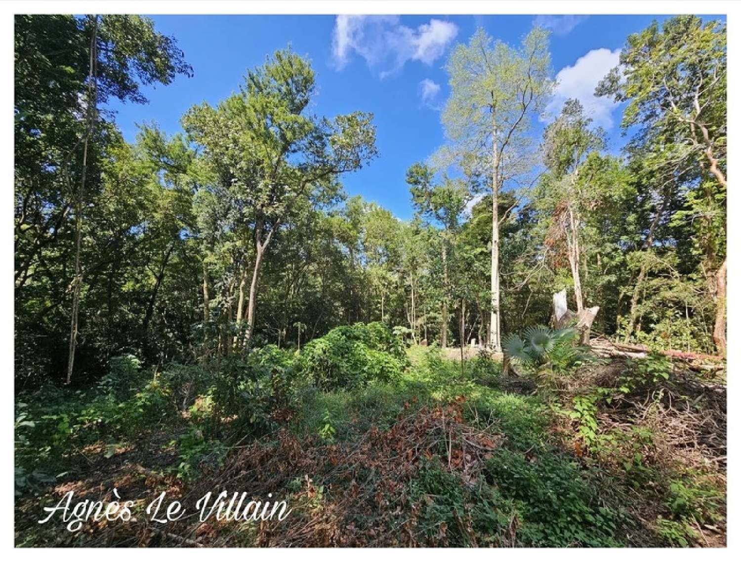  te koop terrein Bouillante Guadeloupe 5