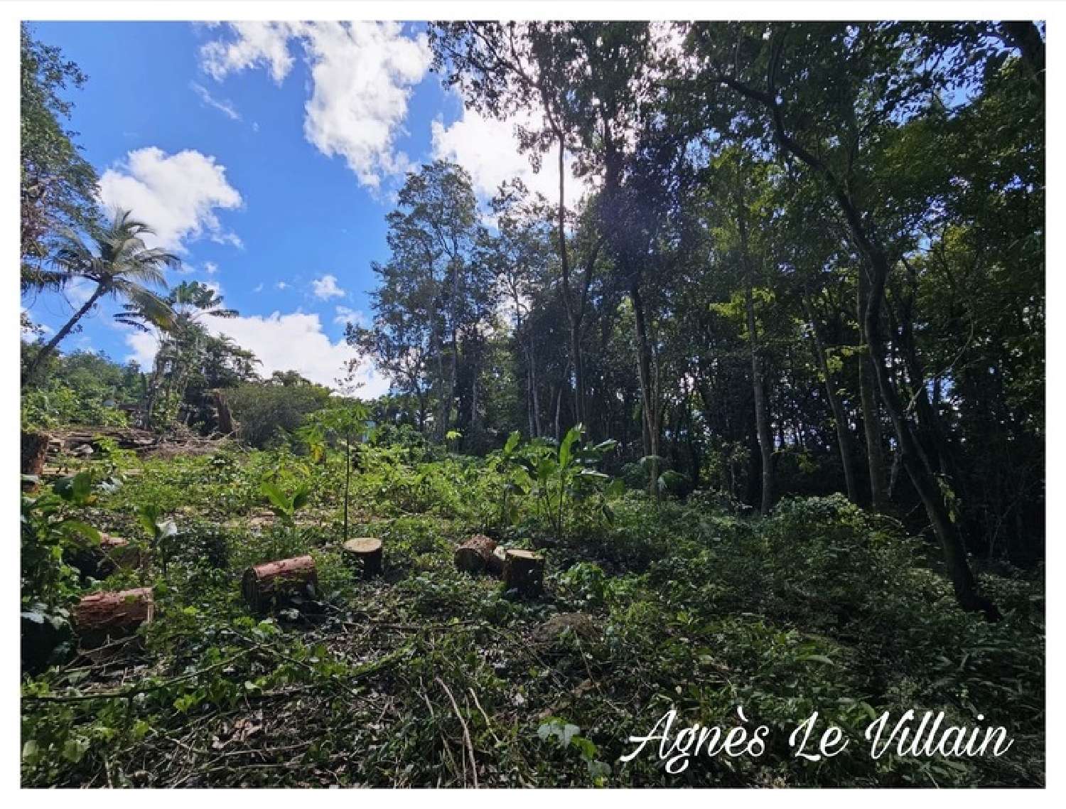 te koop terrein Bouillante Guadeloupe 4