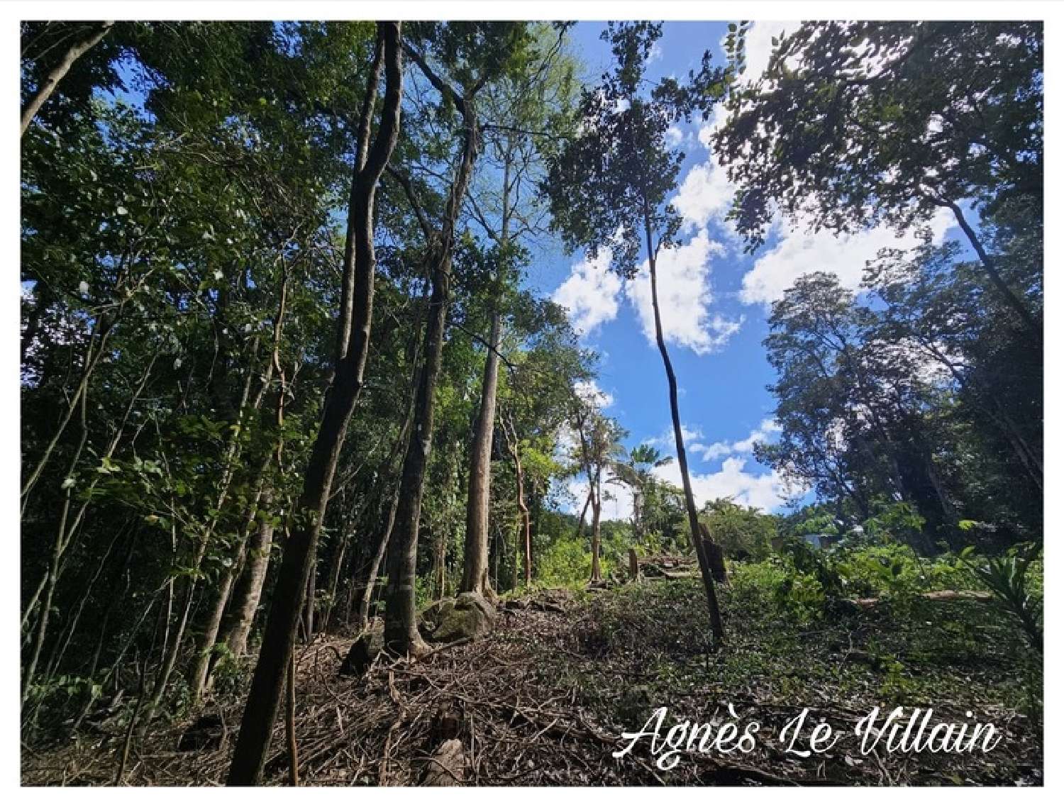  te koop terrein Bouillante Guadeloupe 8