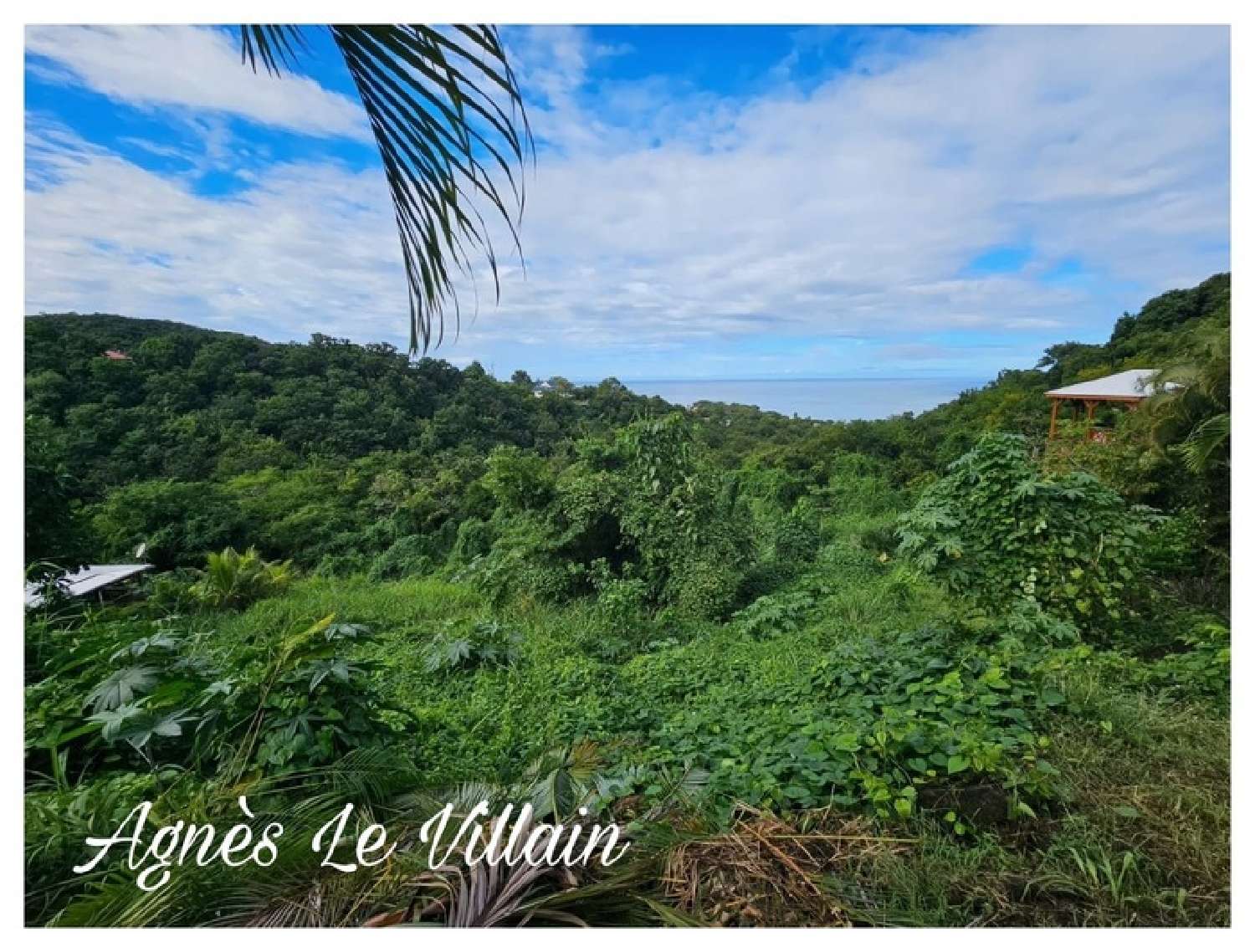  te koop terrein Bouillante Guadeloupe 3