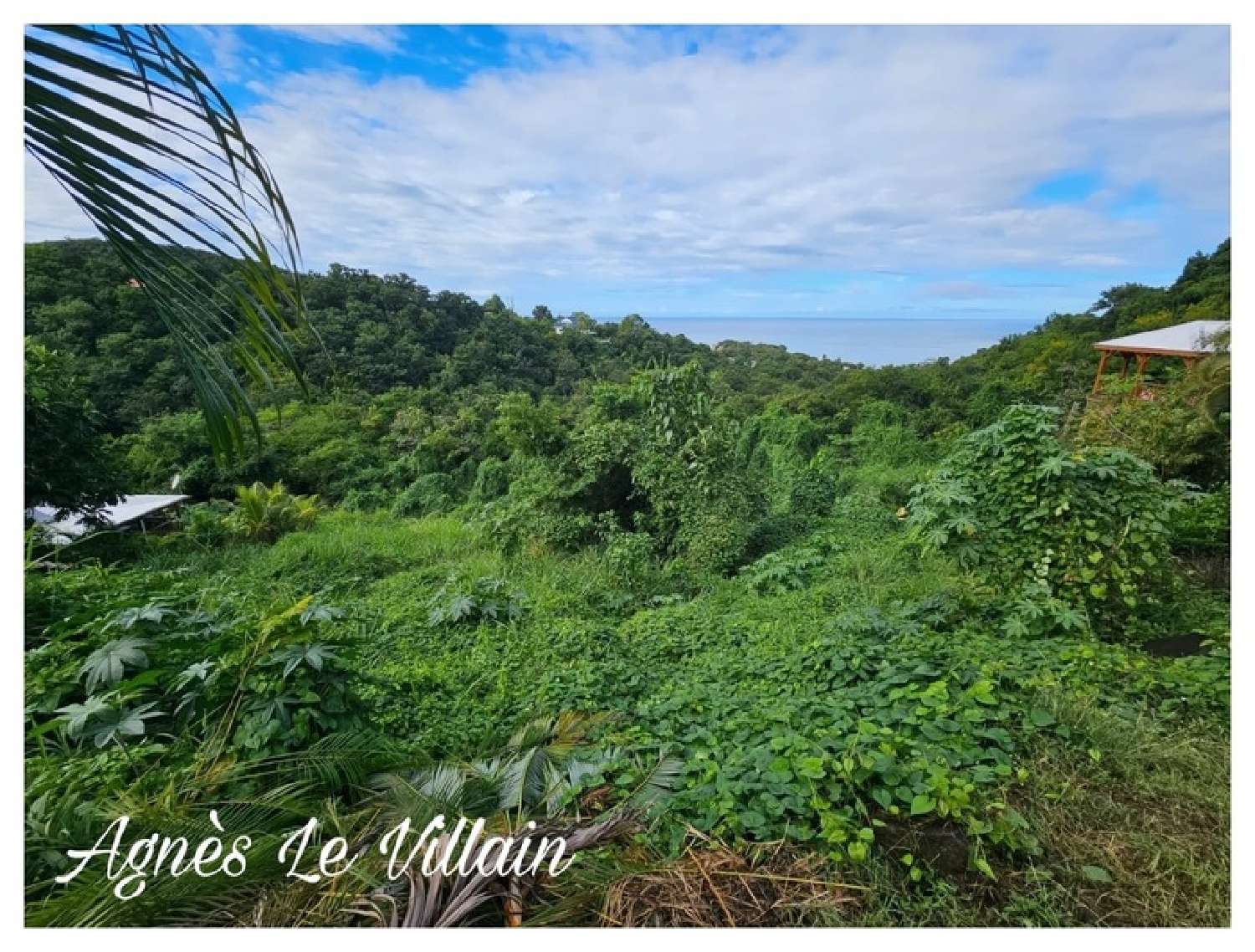  te koop terrein Bouillante Guadeloupe 4