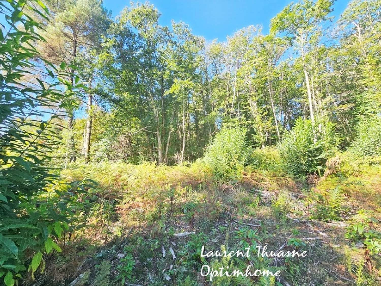  en venta terreno Carsac-Aillac Dordoña 1