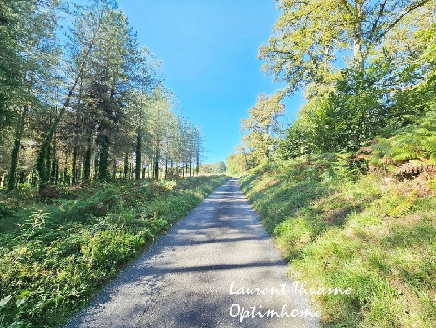  en venta terreno Carsac-Aillac Dordoña 2