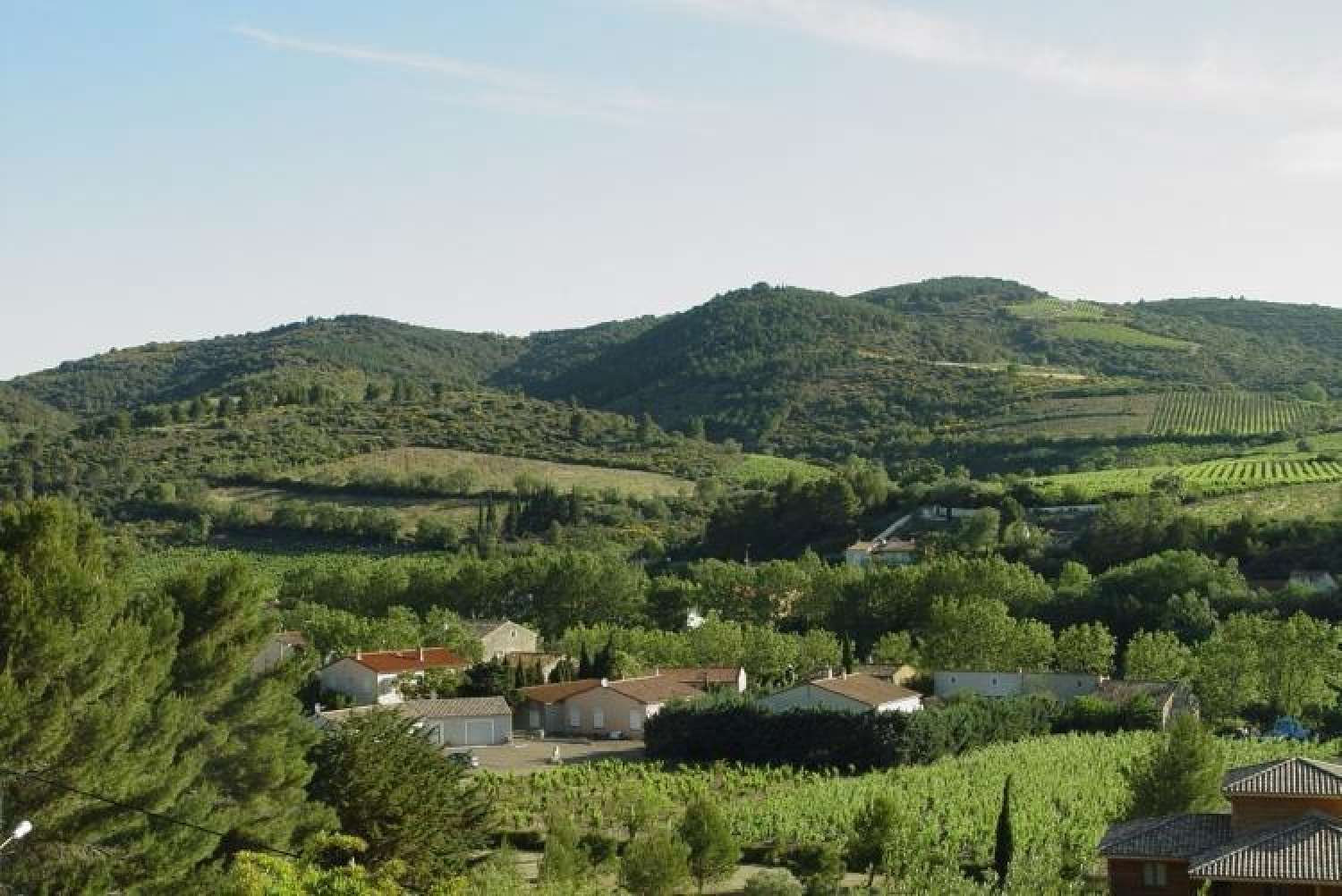  te koop terrein Cascastel-des-Corbières Aude 2