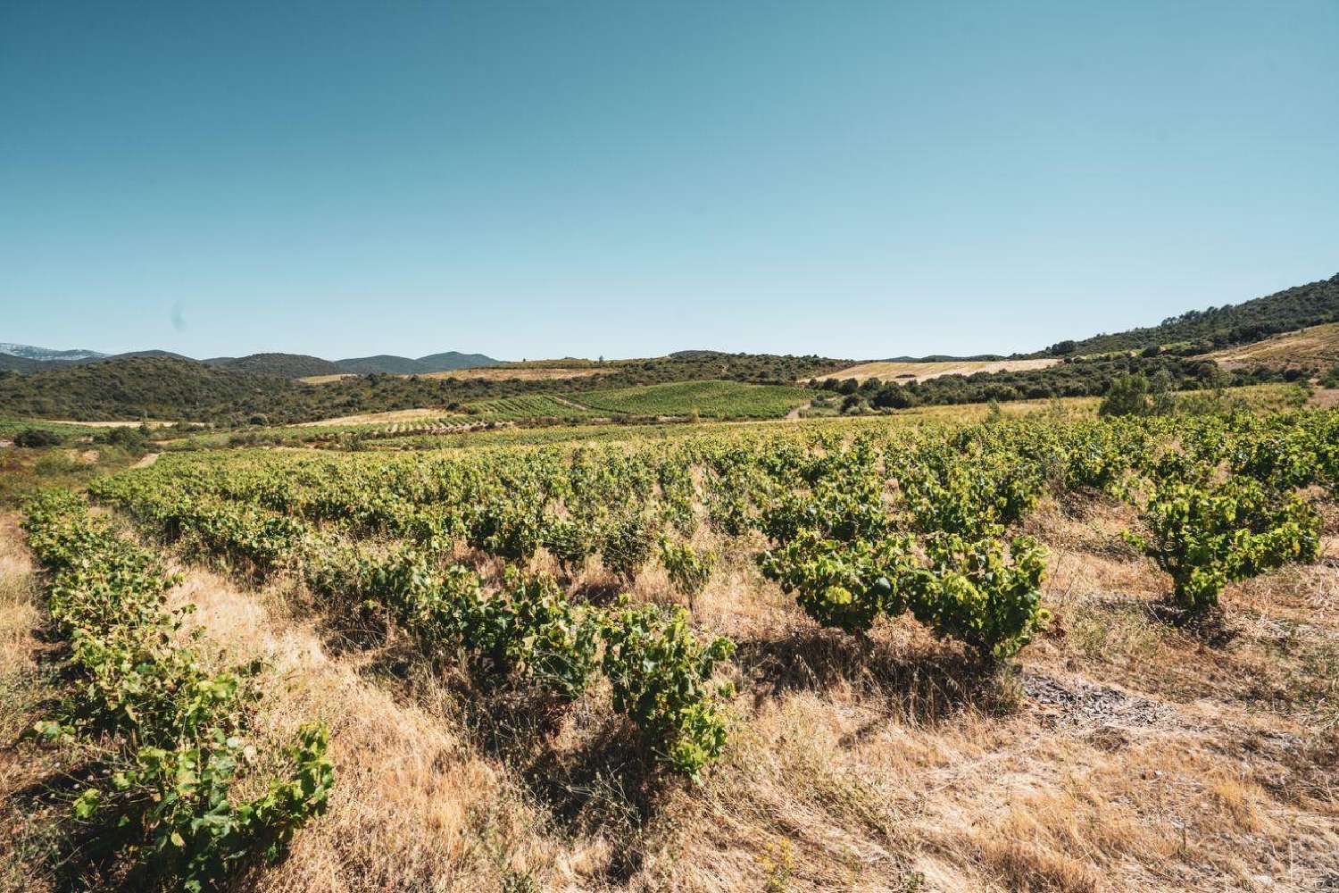  te koop terrein Cascastel-des-Corbières Aude 1