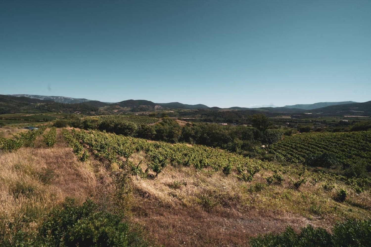  te koop terrein Cascastel-des-Corbières Aude 2