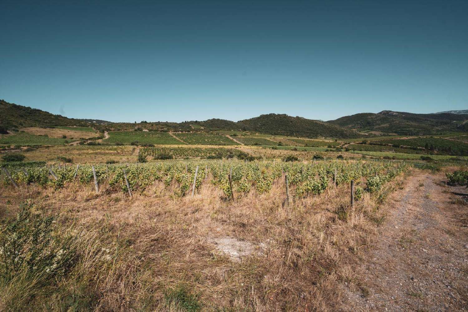  te koop terrein Cascastel-des-Corbières Aude 4