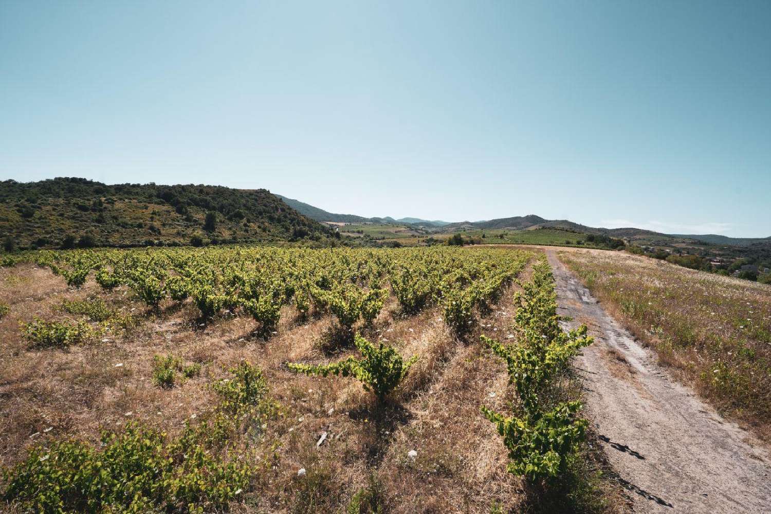  te koop terrein Cascastel-des-Corbières Aude 5