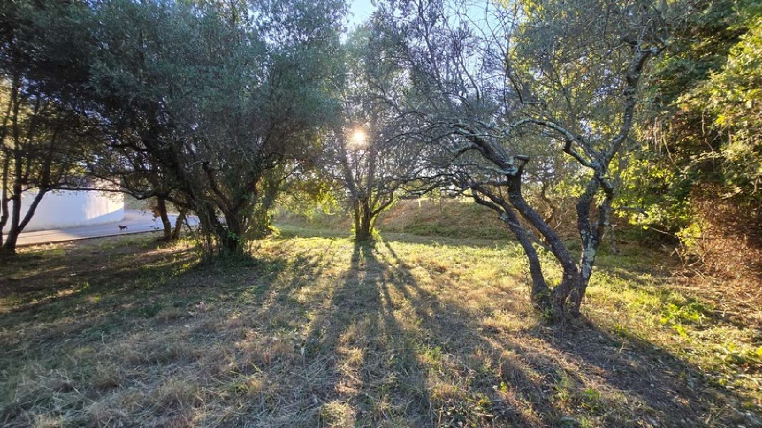  à vendre terrain Castries Hérault 1