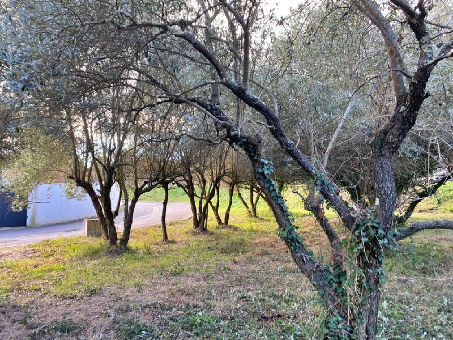  en venta terreno Castries Hérault 5