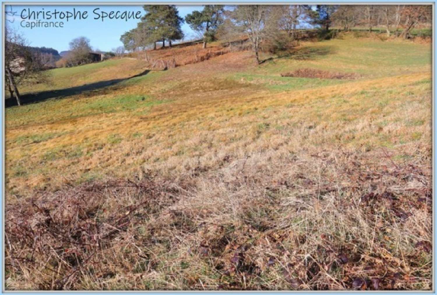  à vendre terrain Chabreloche Puy-de-Dôme 3