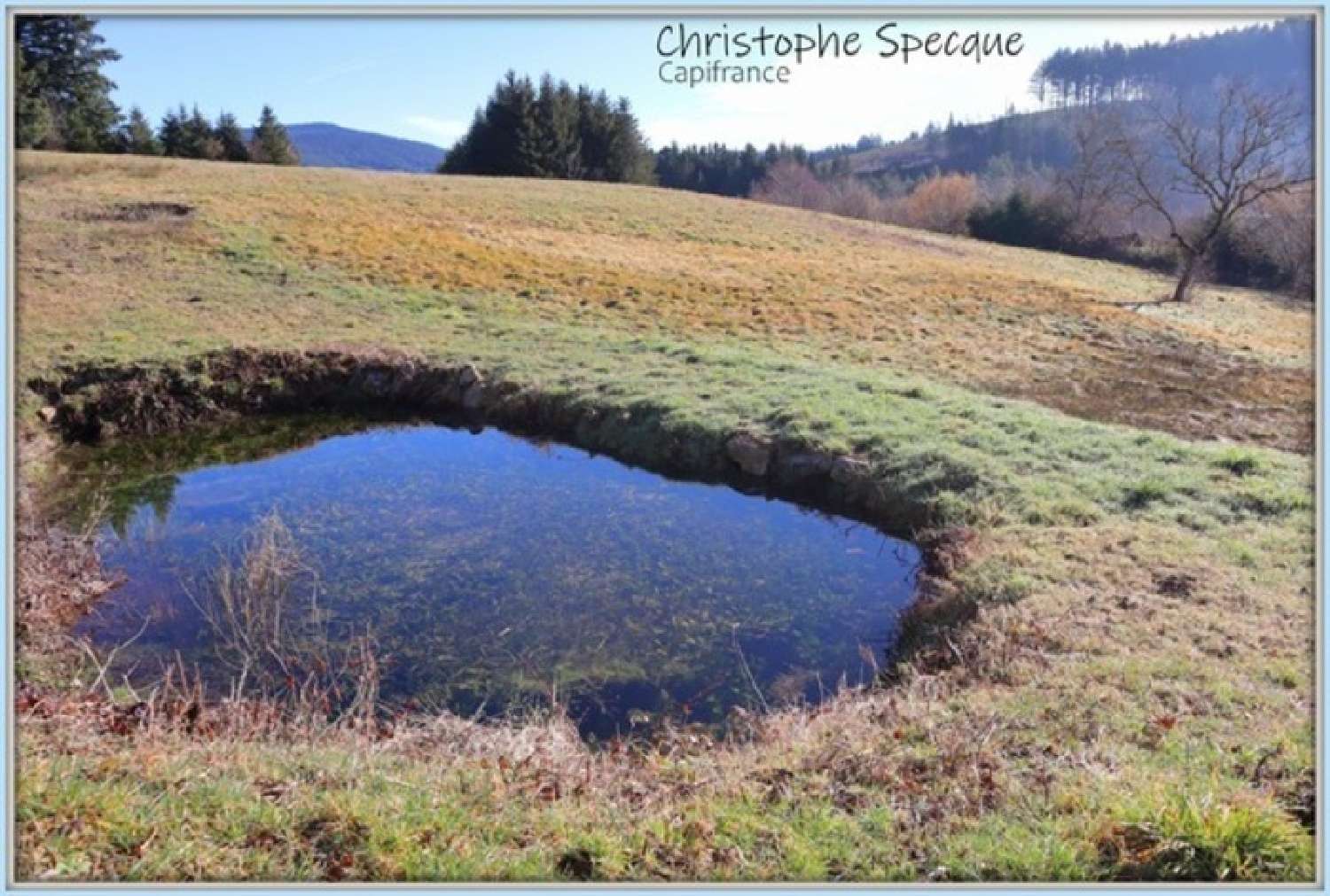  à vendre terrain Chabreloche Puy-de-Dôme 4