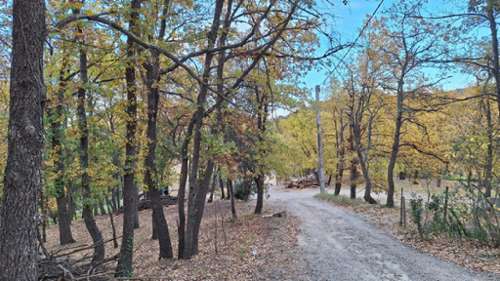Clara Pyrénées-Orientales terrain foto 7259630