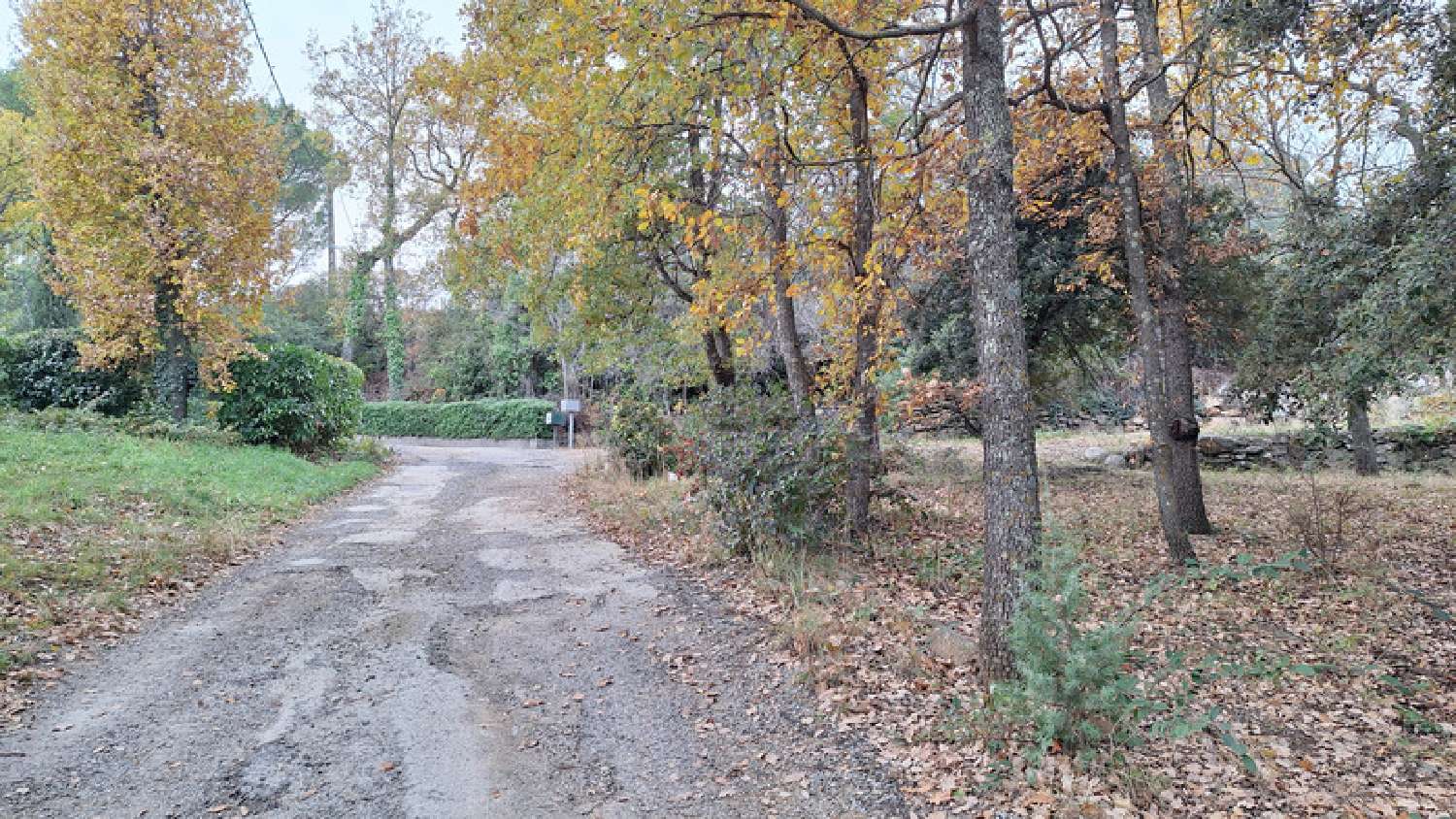  à vendre terrain Clara Pyrénées-Orientales 5