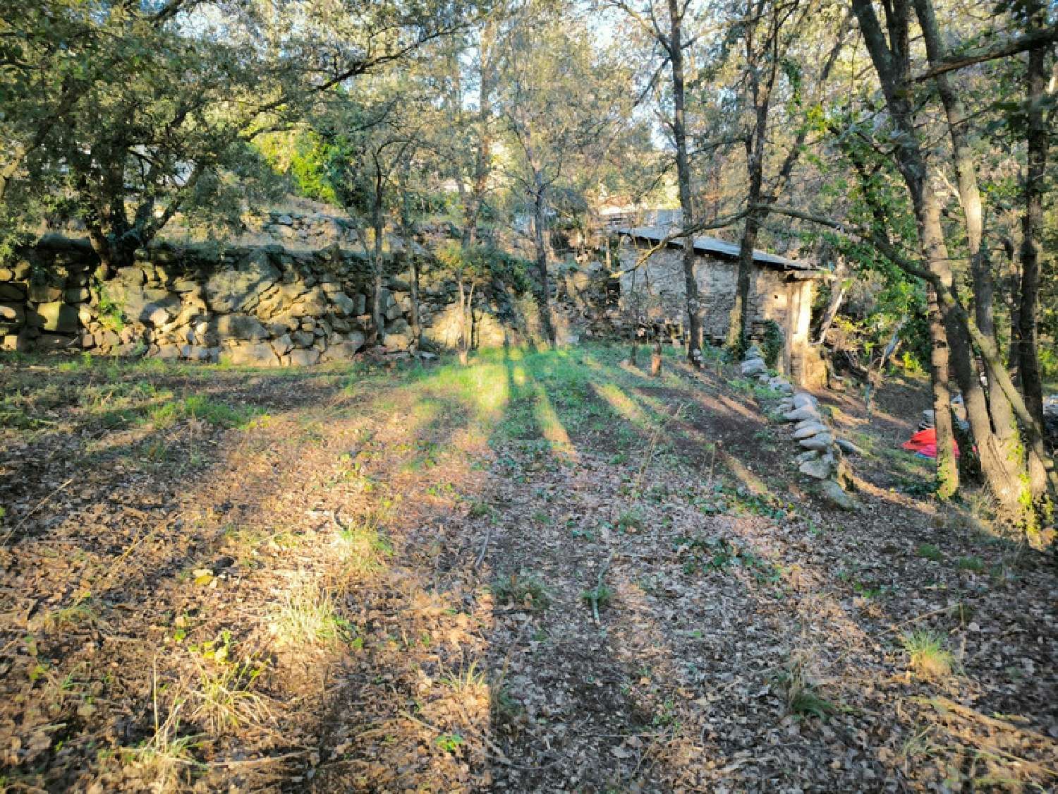  à vendre terrain Clara Pyrénées-Orientales 6