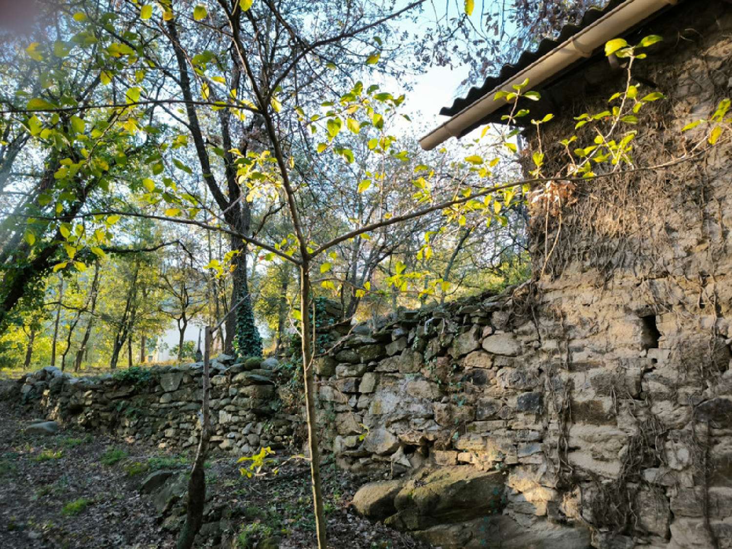  à vendre terrain Clara Pyrénées-Orientales 8