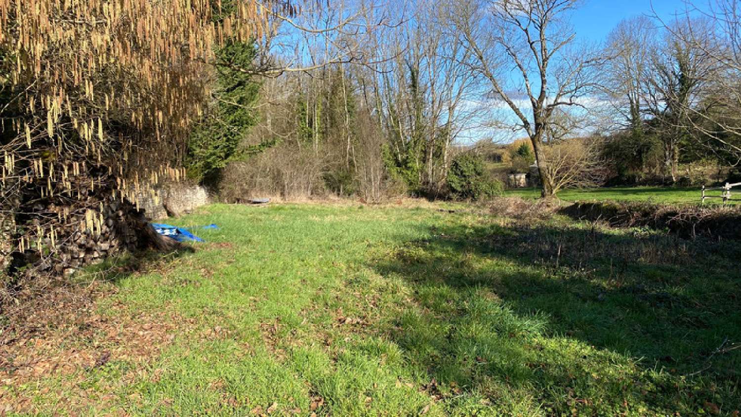  kaufen Grundstück Coutarnoux Yonne 1