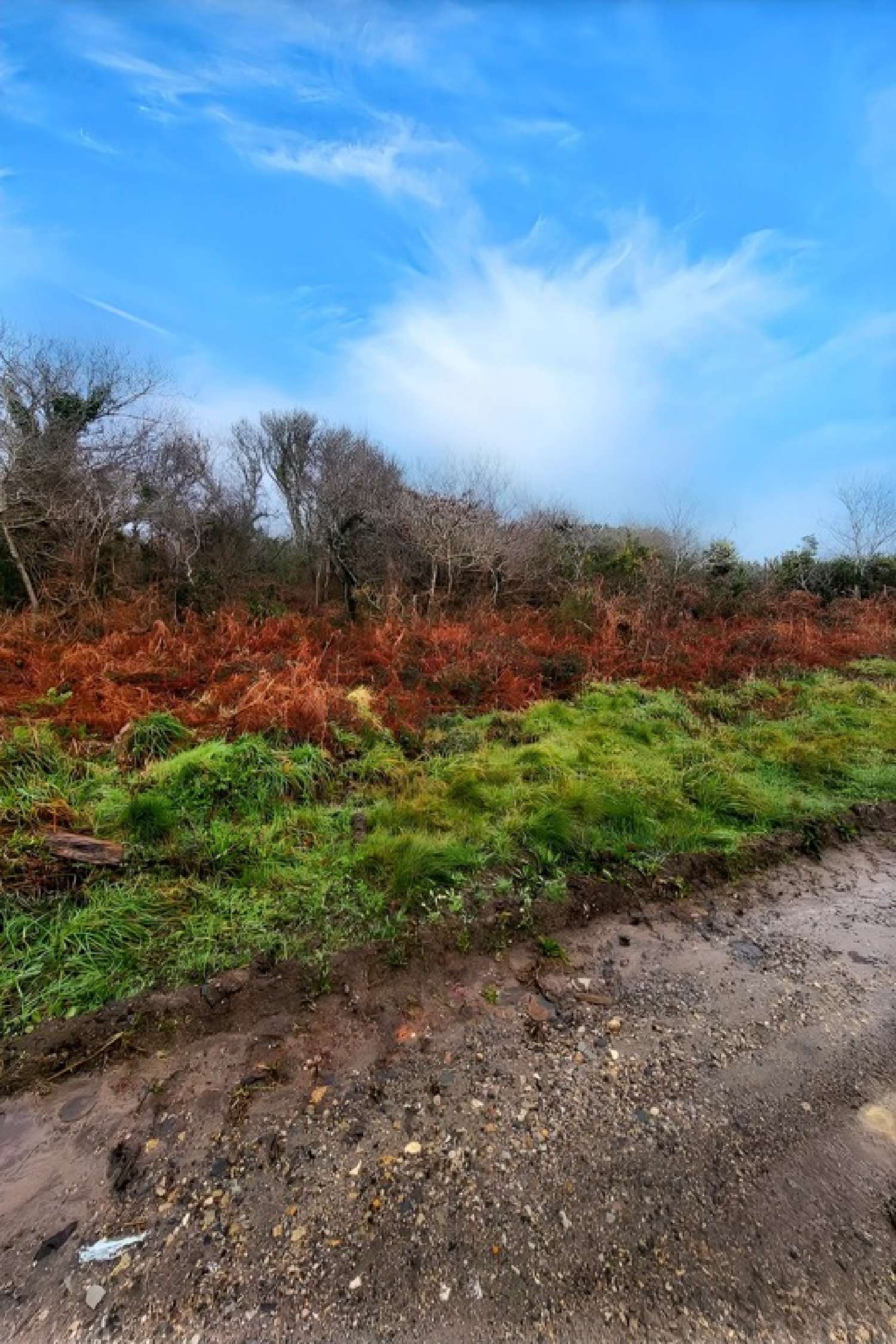  en venta terreno Crozon Finistère 2