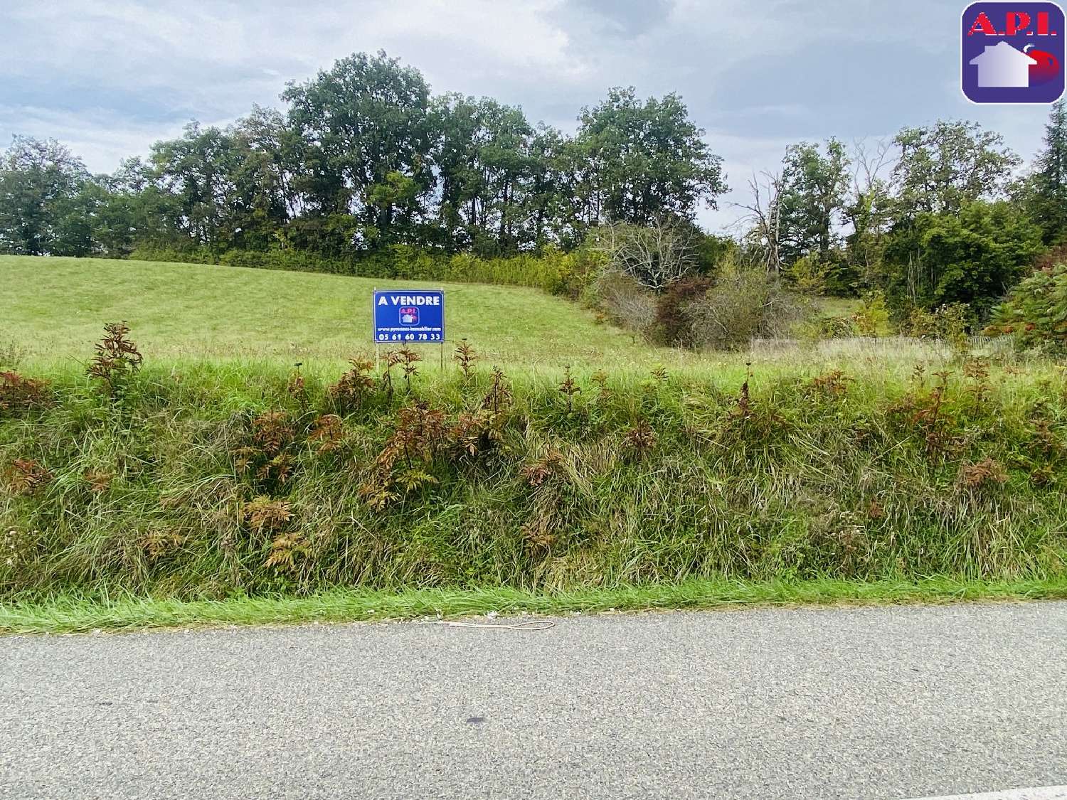  kaufen Grundstück Daumazan-sur-Arize Ariège 3