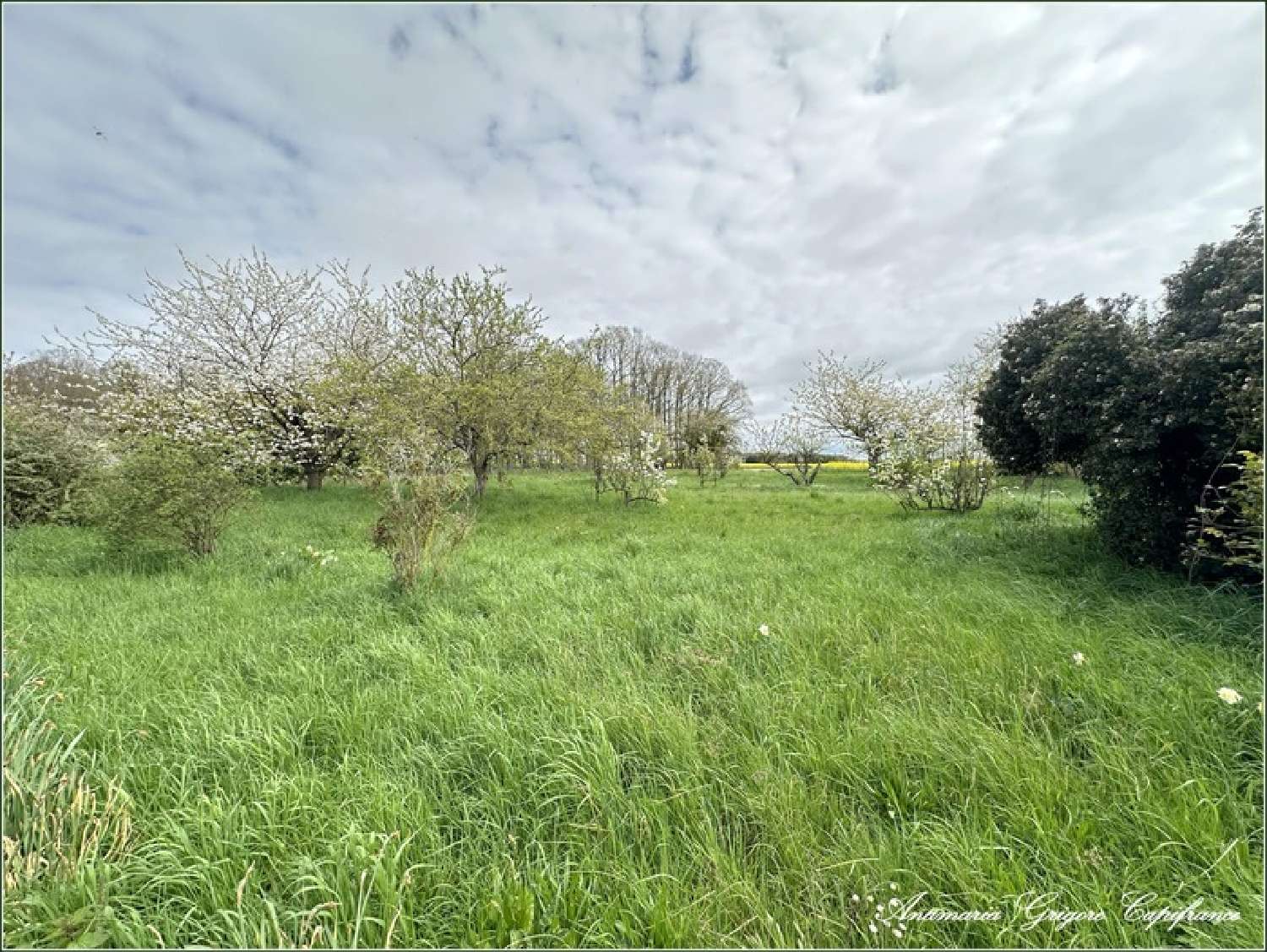  à vendre terrain Favières Eure-et-Loir 2