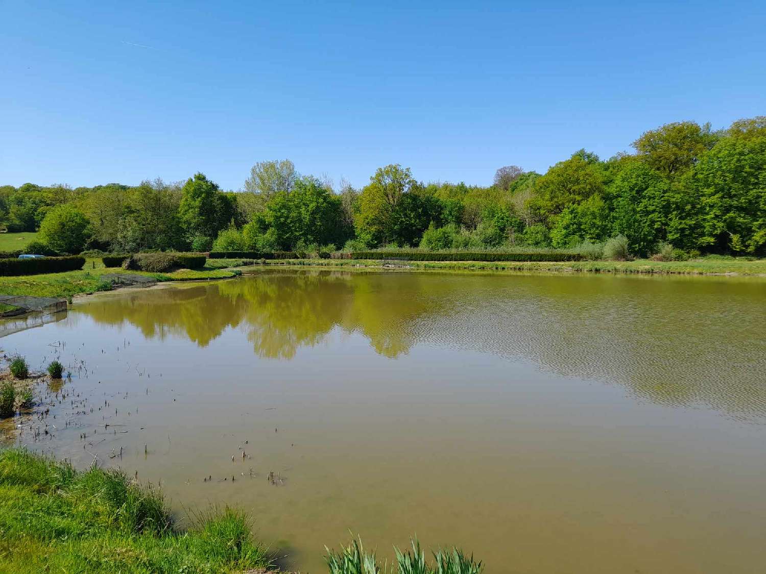 te koop terrein Féron Nord 2