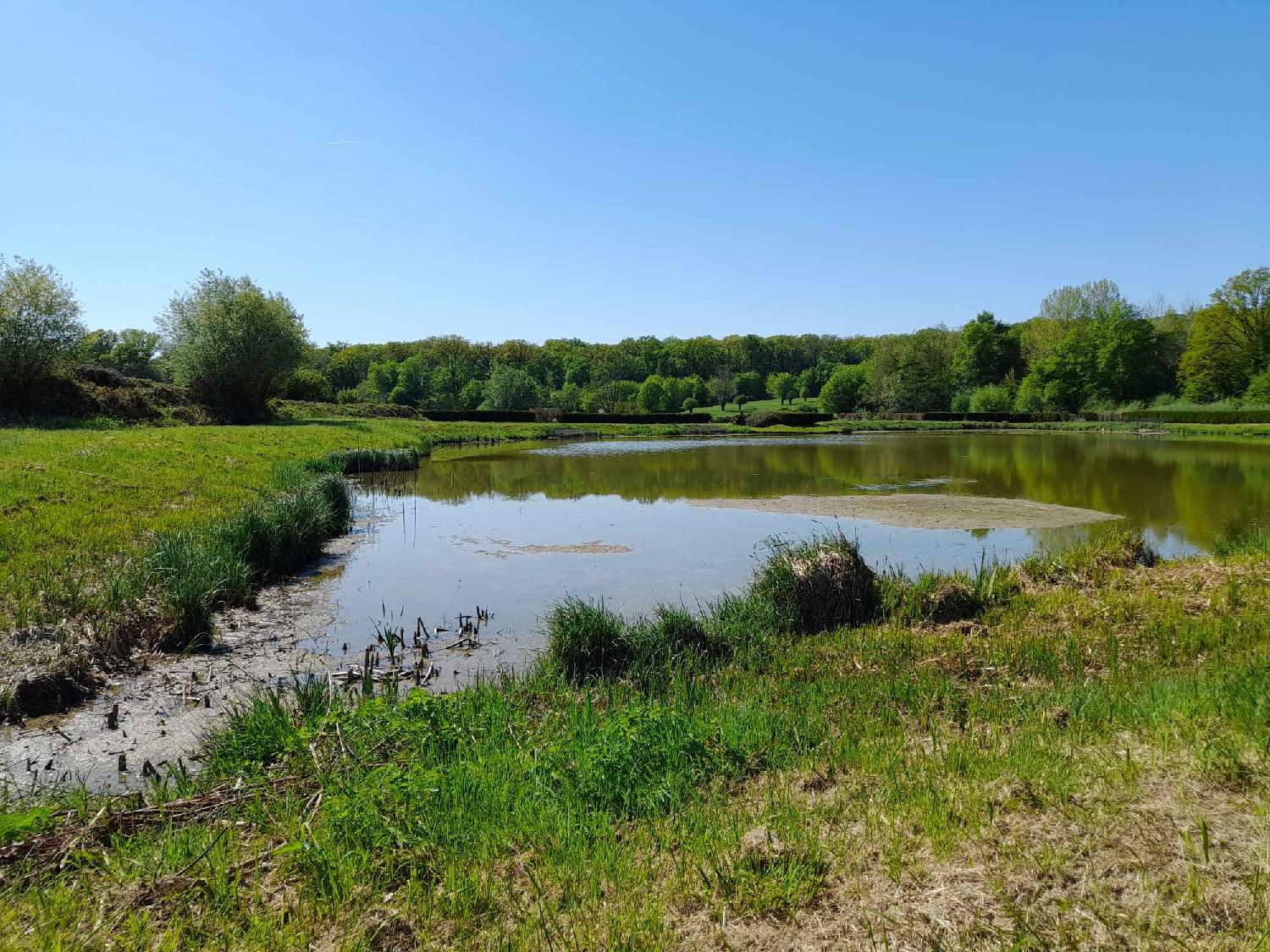 te koop terrein Féron Nord 3