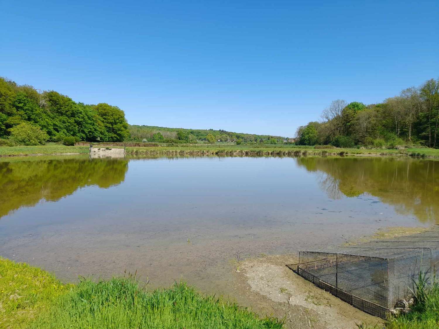 te koop terrein Féron Nord 4