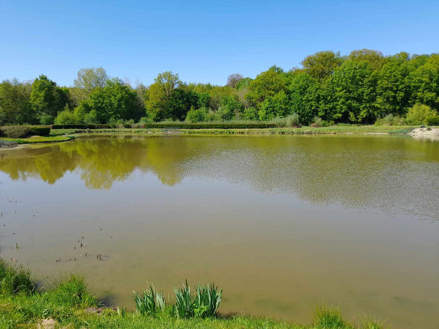 te koop terrein Féron Nord 5