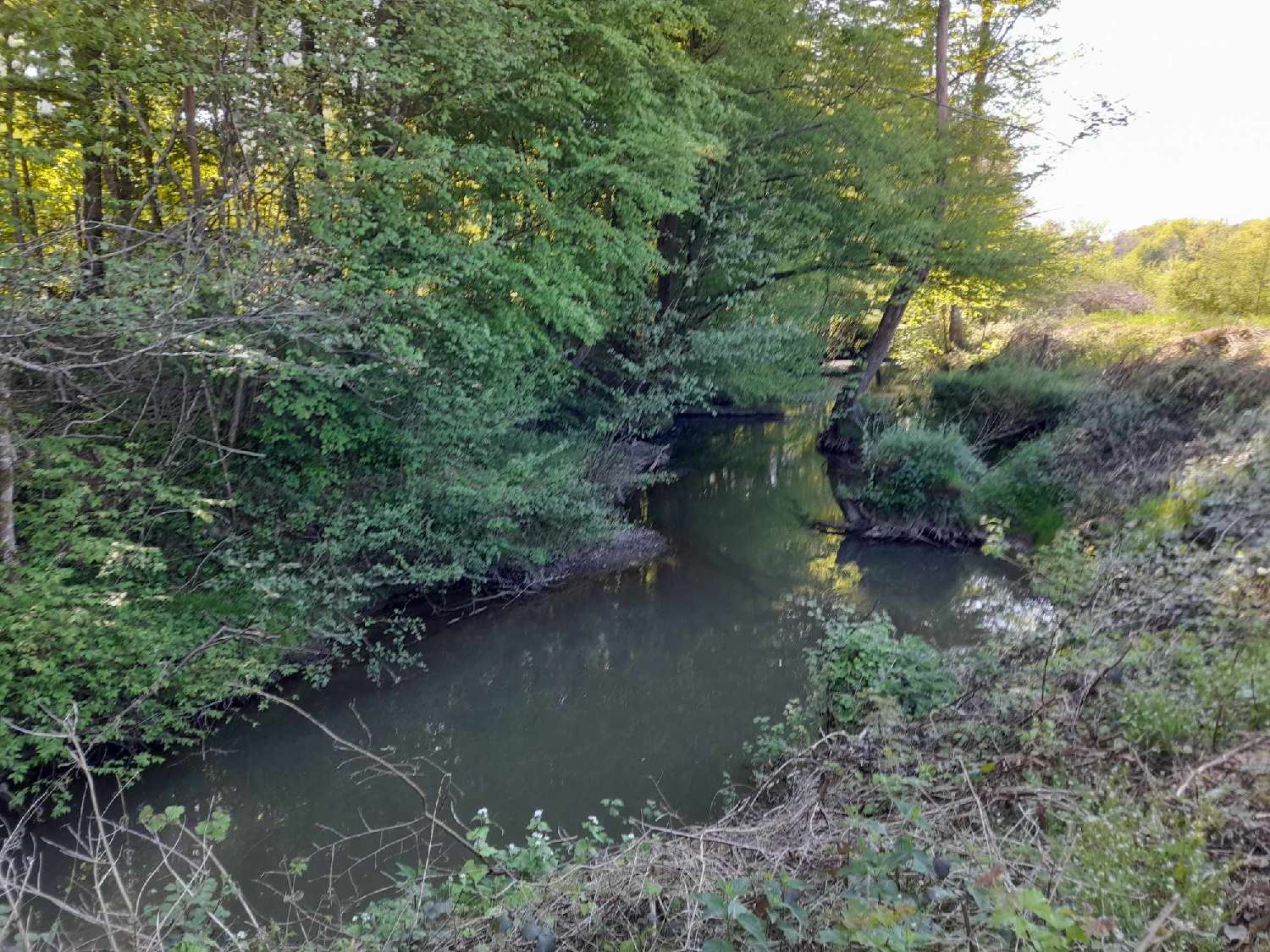 te koop terrein Féron Nord 6