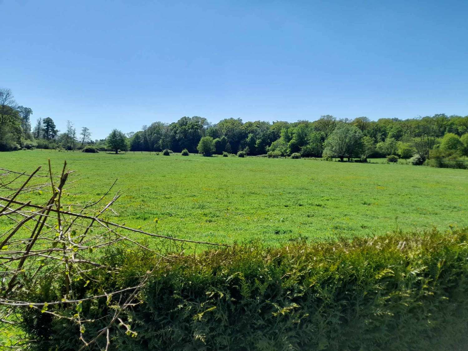 te koop terrein Féron Nord 7