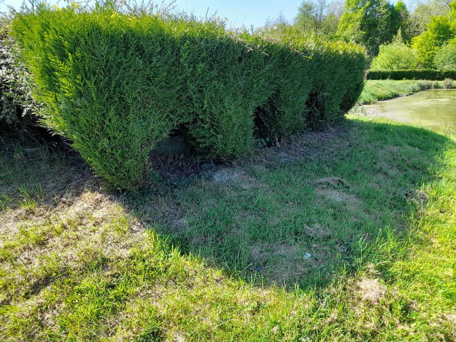 te koop terrein Féron Nord 8