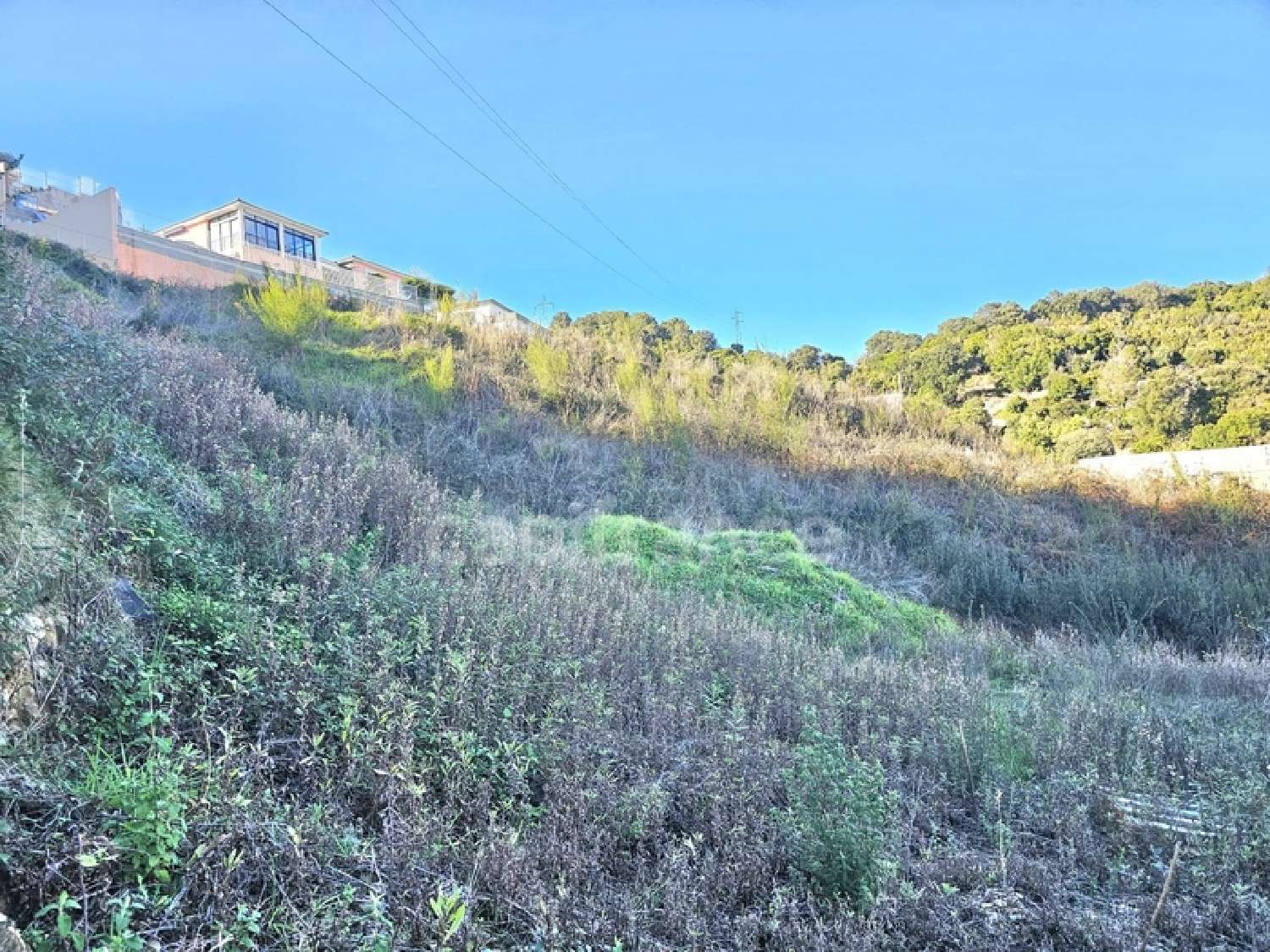  te koop terrein Folelli Haute-Corse 3