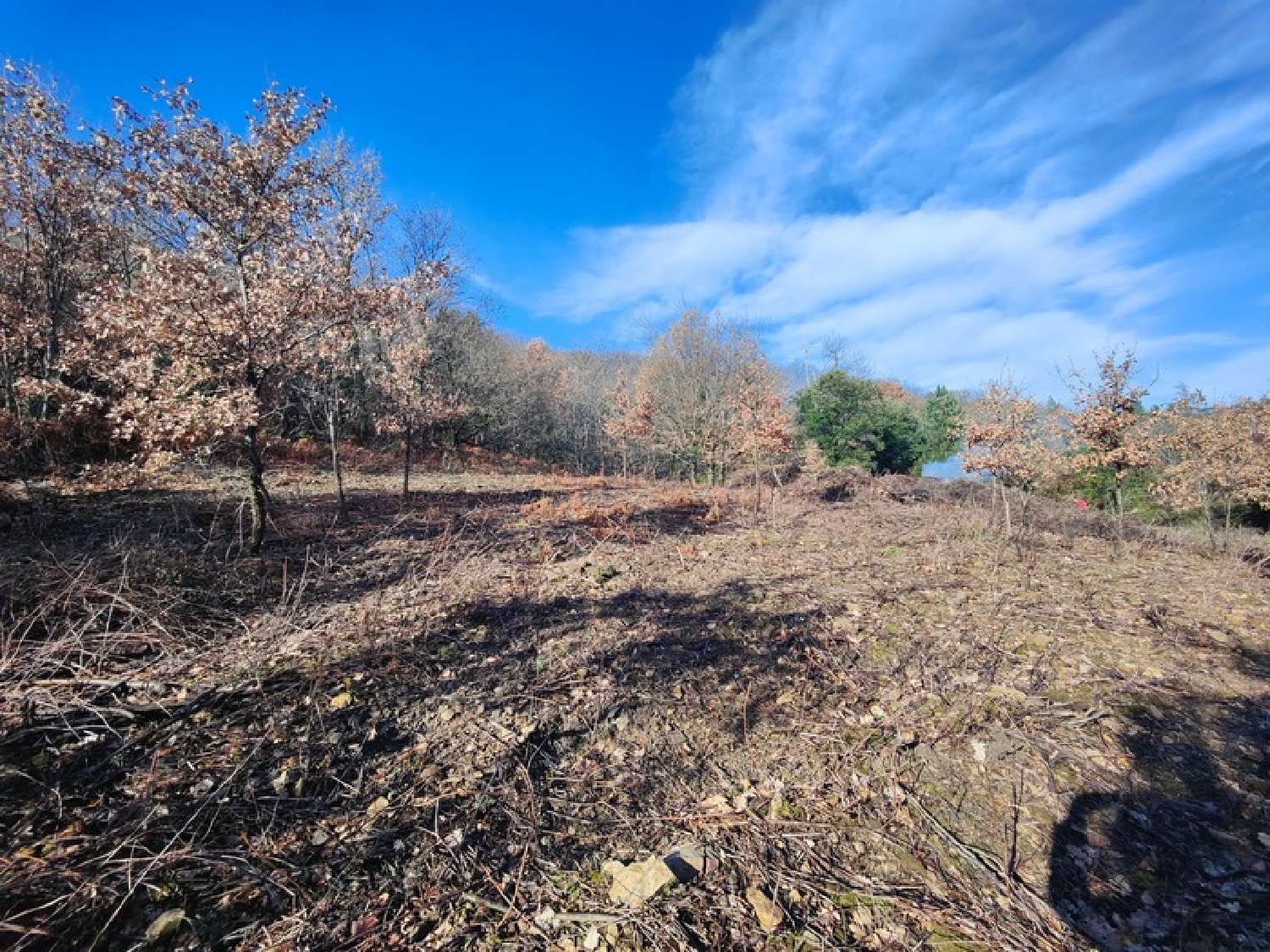  for sale terrain Graissessac Hérault 1