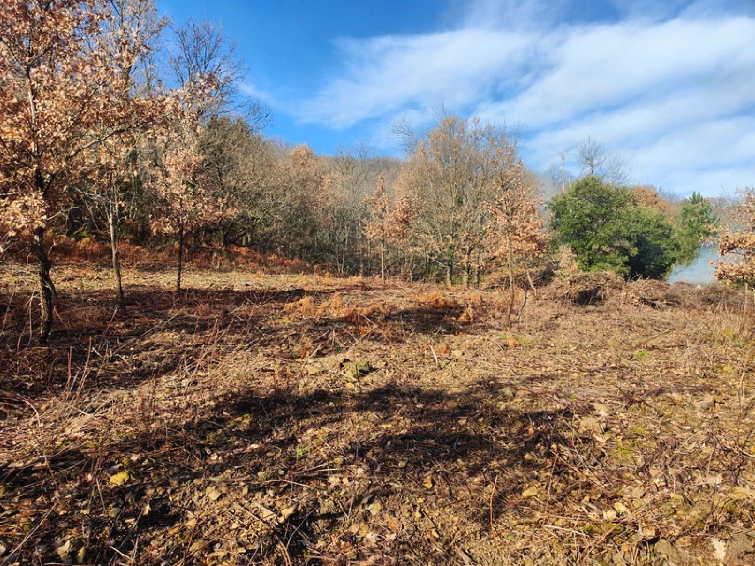  for sale terrain Graissessac Hérault 2