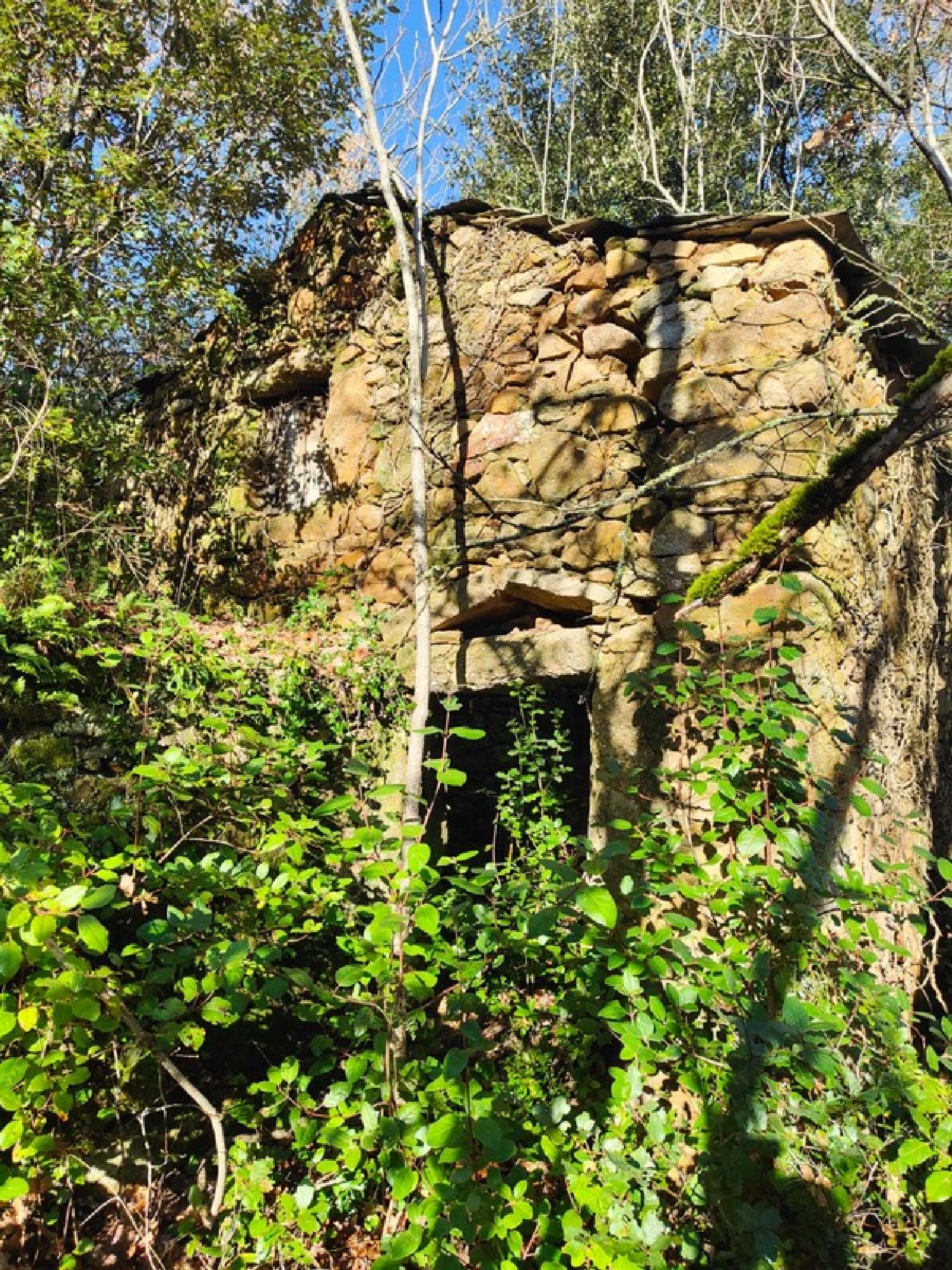  for sale terrain Graissessac Hérault 3