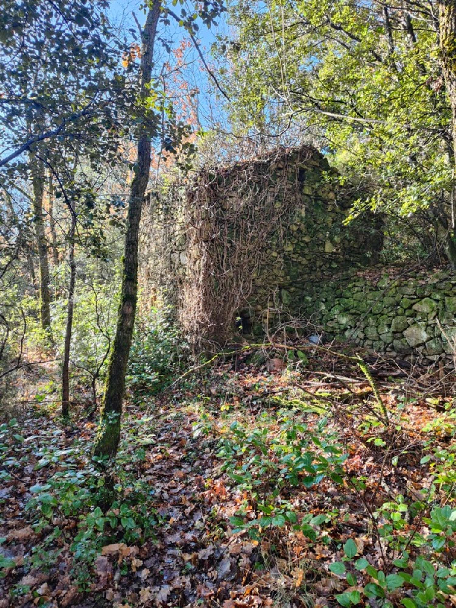  for sale terrain Graissessac Hérault 4