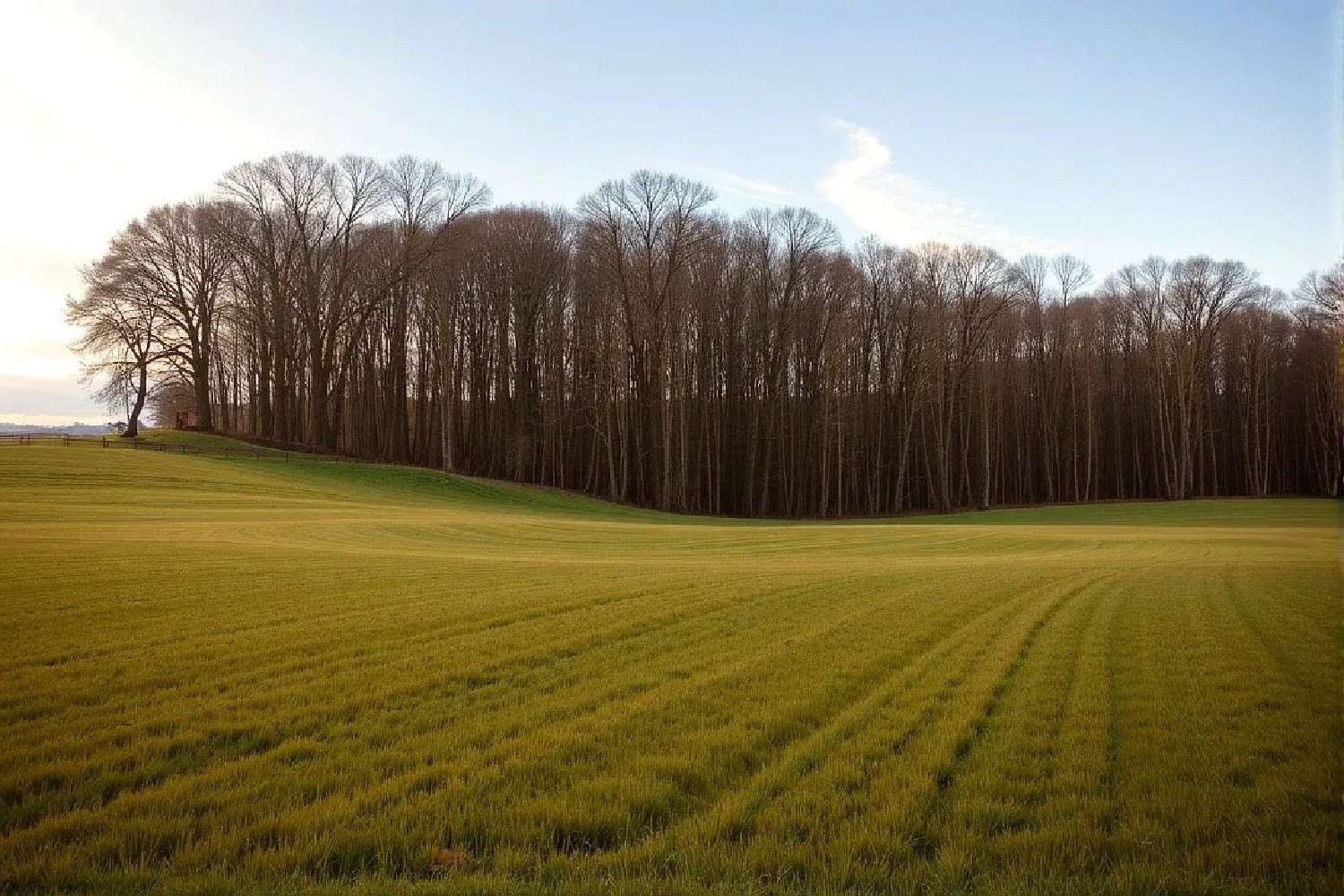  te koop terrein Graulhet Tarn 2