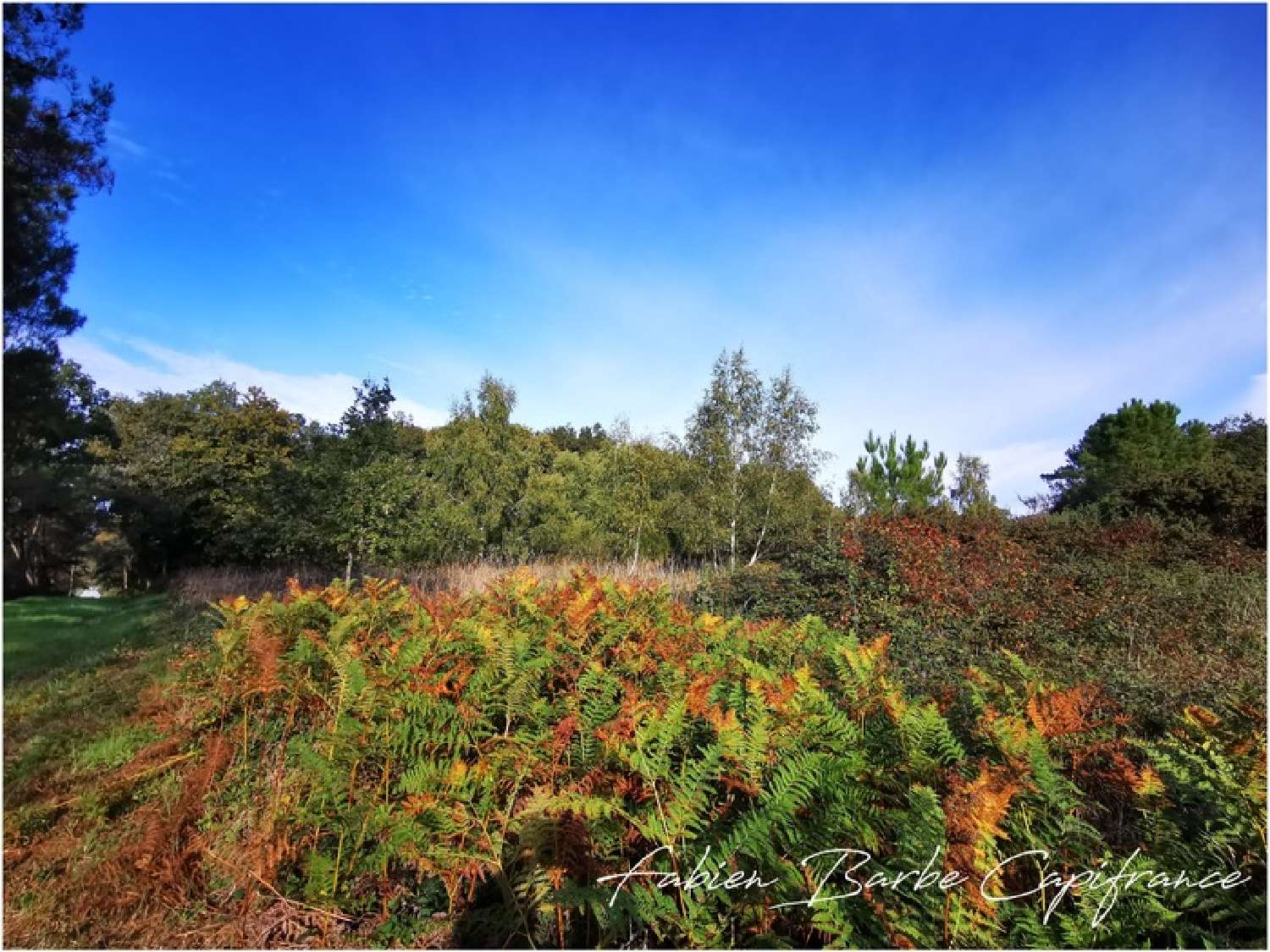 te koop terrein Guer Morbihan 1