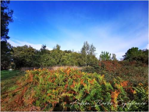 Guer Morbihan terrein foto 7269806