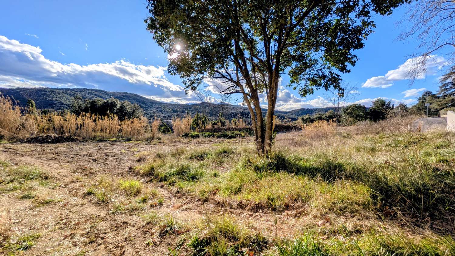  à vendre terrain L'Albère Pyrénées-Orientales 5