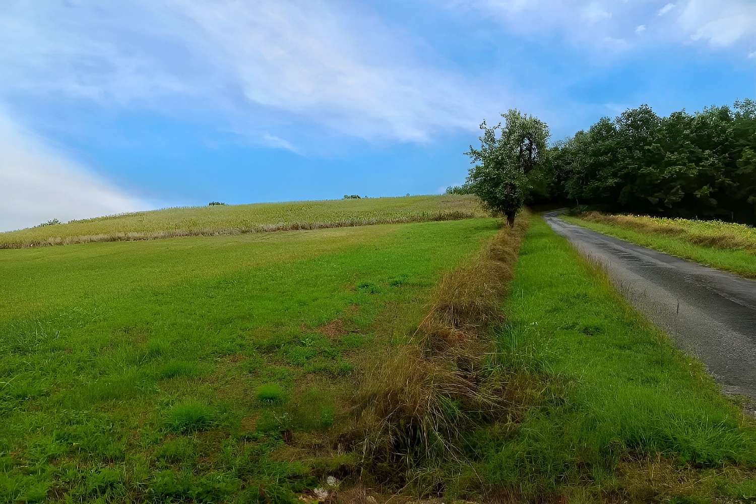  en venta terreno La Sauzière-Saint-Jean Tarn 2