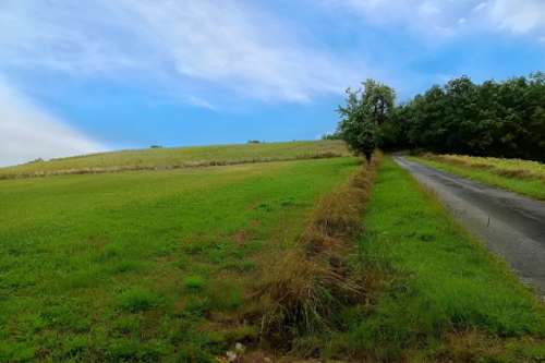 La Sauzière-Saint-Jean Tarn Grundstück Bild 7263045