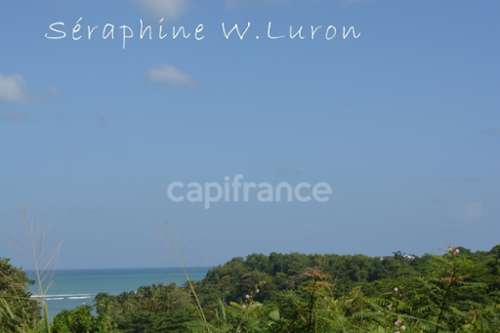 La Trinité Martinique terrain foto 7263488