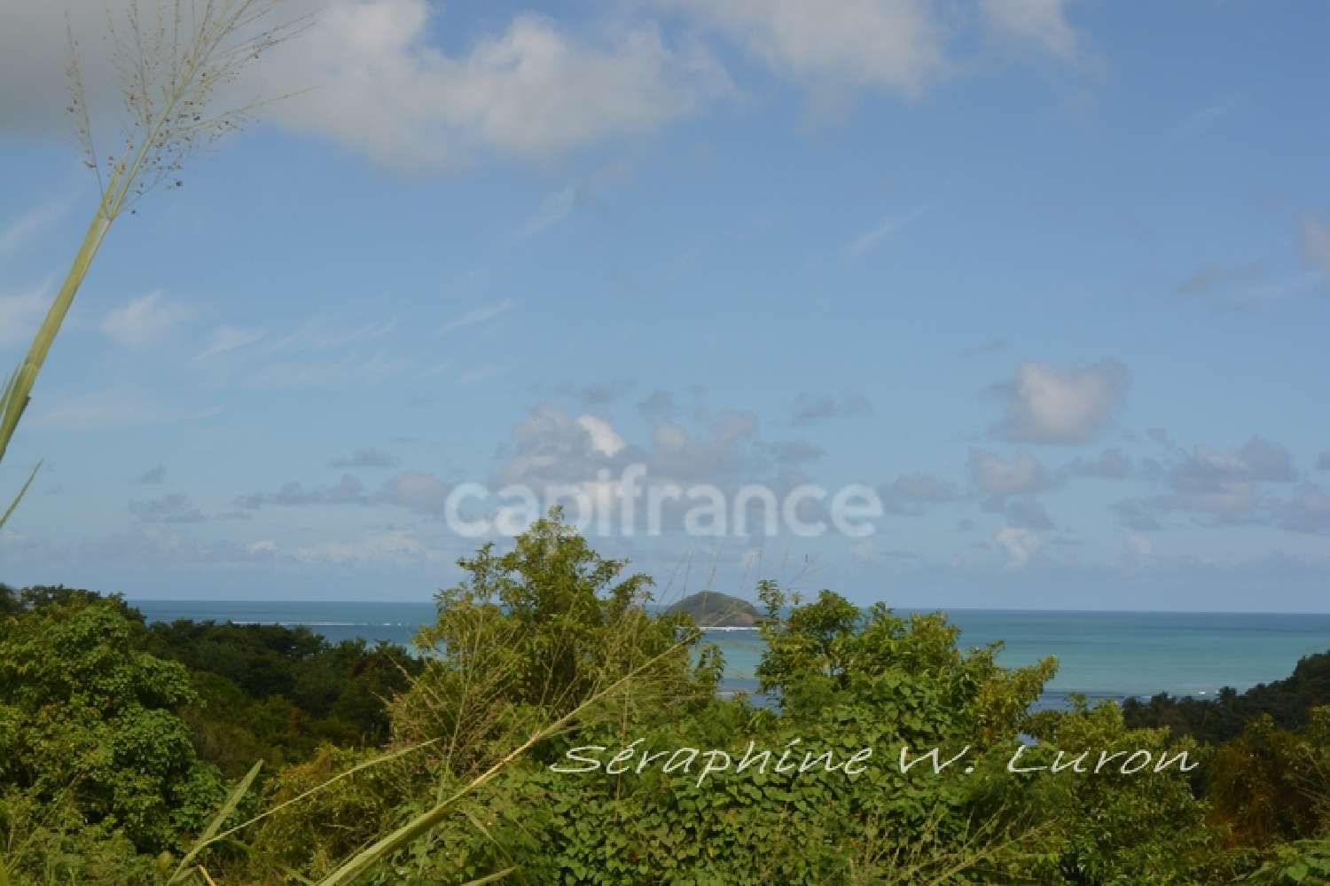  à vendre terrain La Trinité Martinique 2